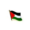 Stand with Gaza Palestinian Flag Pin